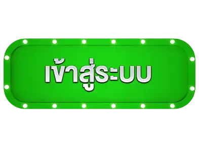แบนเนอร์ 13